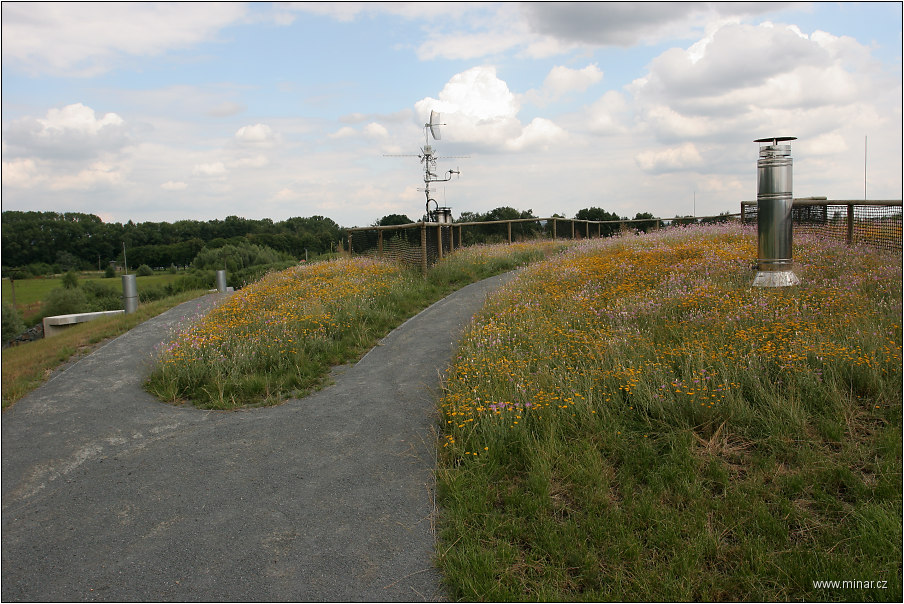 img00010.jpg
