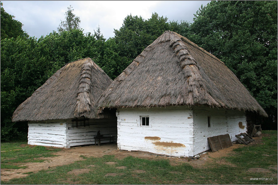 img00009.jpg