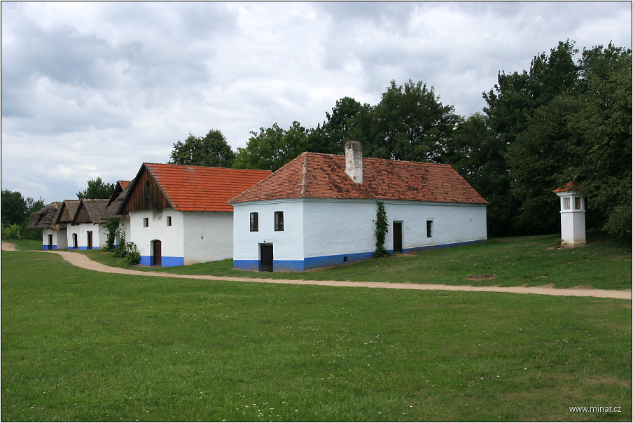 img00011.jpg