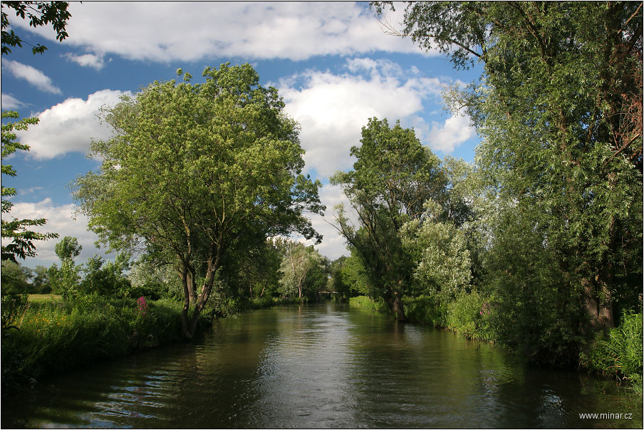 img00016.jpg