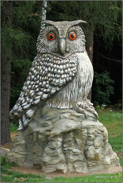 img00005.jpg