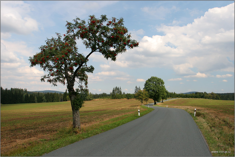 img00007.jpg