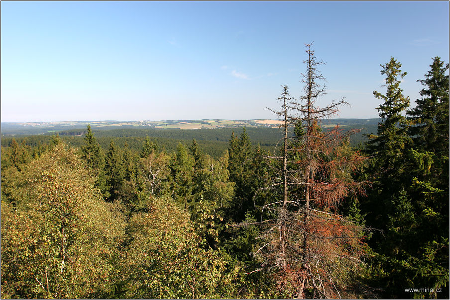img00020.jpg