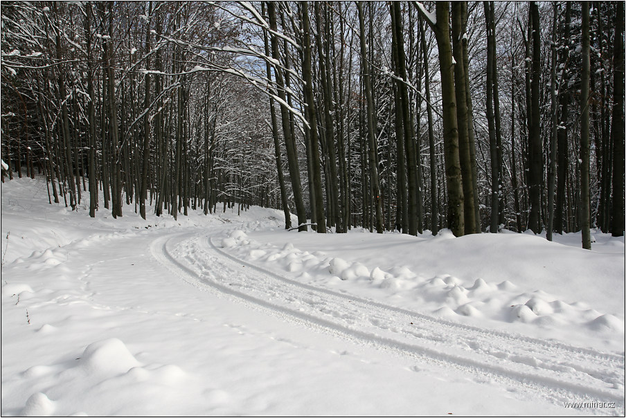 img00005.jpg