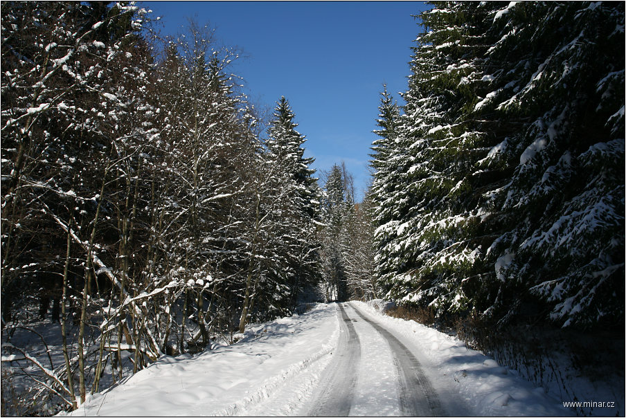 img00006.jpg