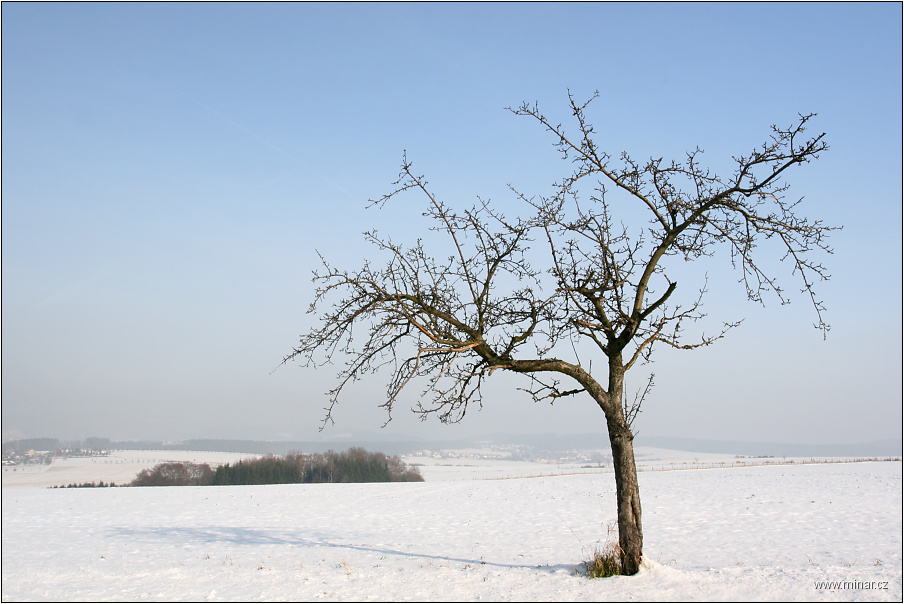 img00015.jpg