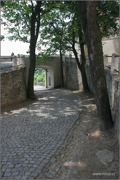 img00004.jpg
