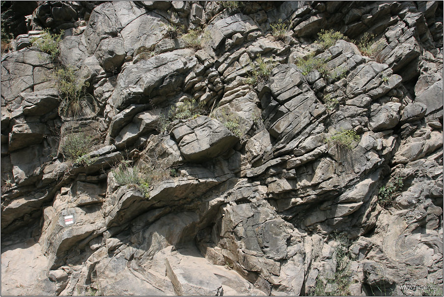 img00026.jpg