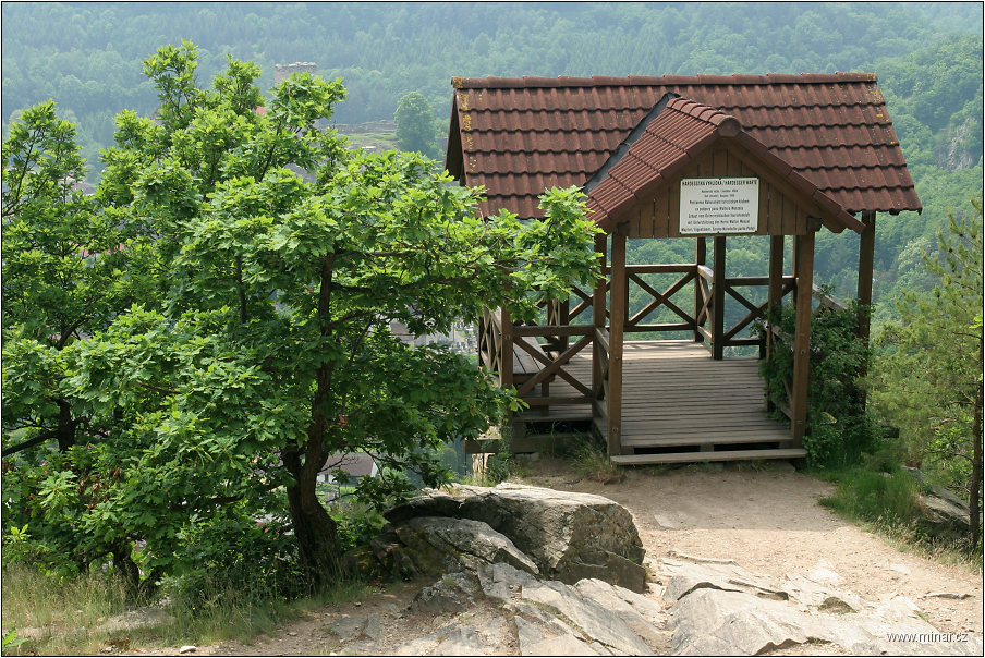 img00036.jpg
