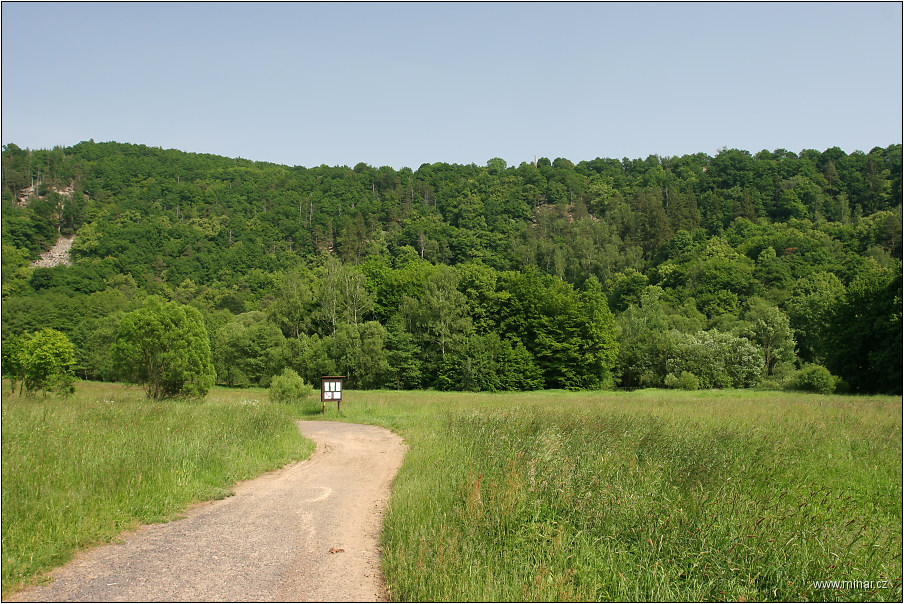 img00040.jpg