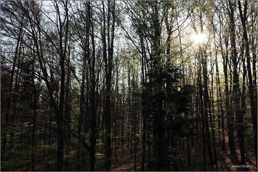 img00010.jpg