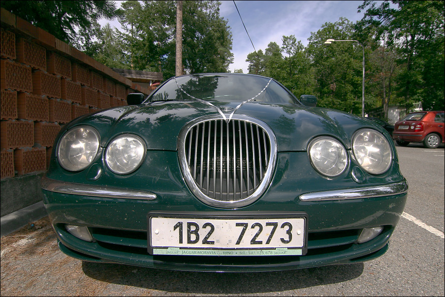 img00102.jpg