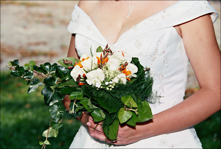 img00023.jpg