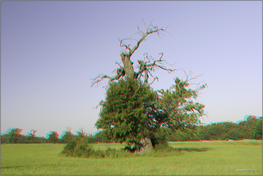 img00009.jpg
