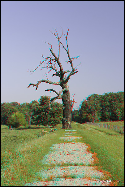 img00011.jpg