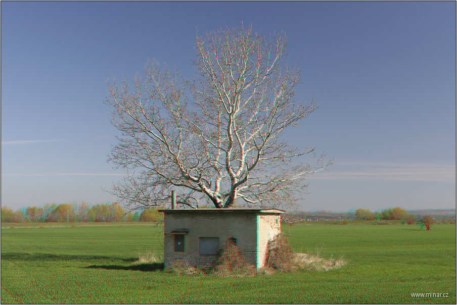 img00045.jpg